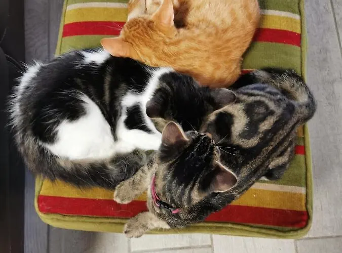 Le Gabachou بيت ريفي