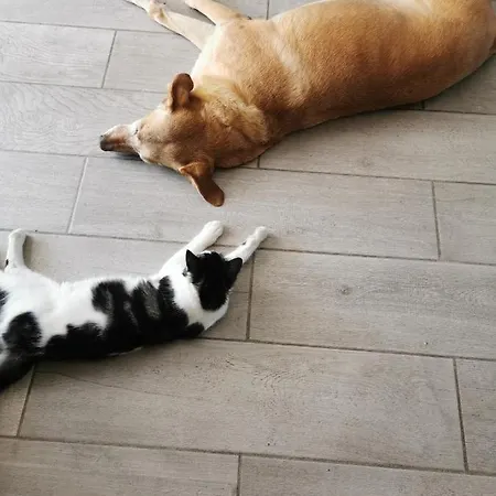 Estalagem Le Gabachou Montpezat-de-Quercy