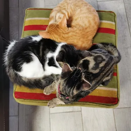 Le Gabachou Estalagem