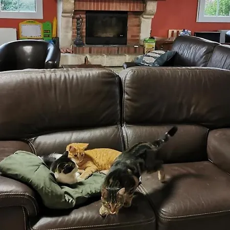 Мини-отель Le Gabachou