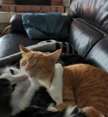 Le Gabachou Estalagem Montpezat-de-Quercy