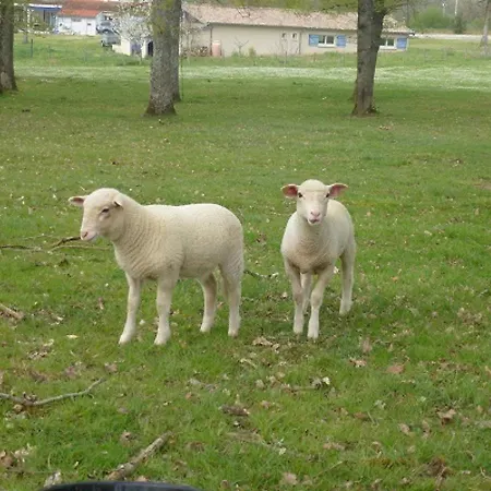 Le Gabachou Estalagem *