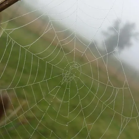 Мини-отель Le Gabachou *