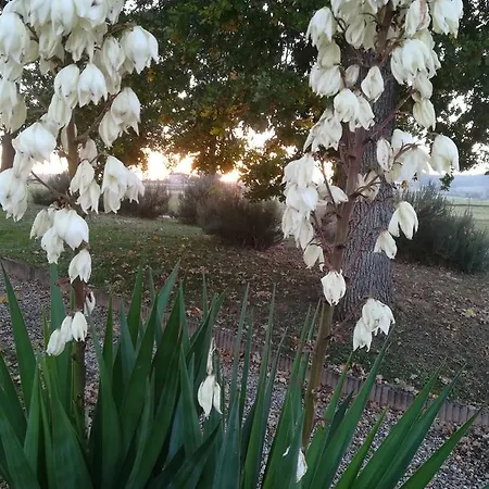 Le Gabachou Estalagem Montpezat-de-Quercy