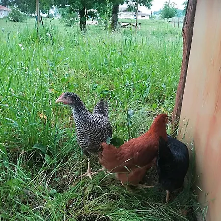 Мини-отель Le Gabachou