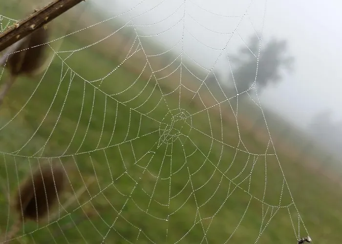 Värdshus Le Gabachou *